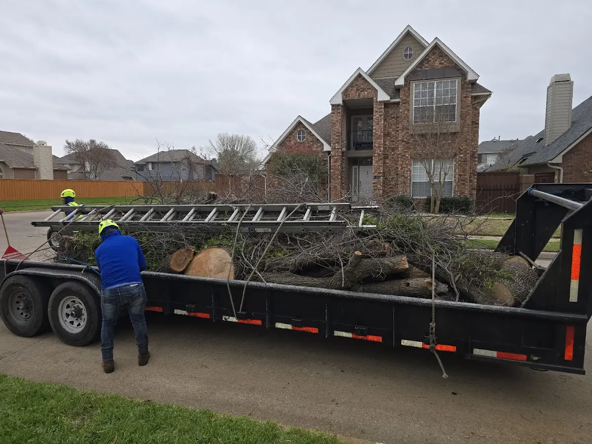 Expert Tree Fertilization with proper safety equipment in Streetsboro